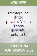 Immagini del diritto privato. Vol. 1: Teoria generale, fonti, diritti libro