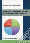 Valutazione finanziaria e rischio nelle piccole e medie imprese libro