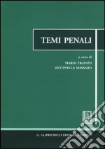 Temi penali libro