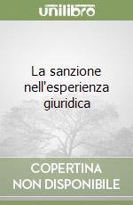 La sanzione nell'esperienza giuridica libro