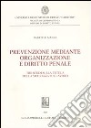 Prevenzione mediante organizzazione e diritto penale. Tre studi sulla tutela della sicurezza sul lavoro libro di Marra Gabriele