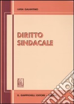 Diritto sindacale libro