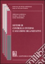 Sistemi di controllo interno e soluzioni organizzative libro