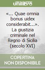 «... Quae omnia bonus uidex considerabit...». La giustizia criminale nel Regno di Sicilia (secolo XVI)