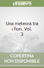 Una meteora tra i fiori. Vol. 3 libro