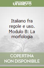 Italiano fra regole e uso. Modulo B: La morfologia libro