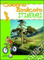 Calabria. Basilicata. Ediz. illustrata libro