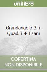 Grandangolo 3 + Quad.3 + Esam libro