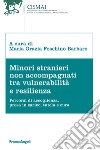 Minori stranieri non accompagnati tra vulnerabilità e resilienza. Percorsi di accoglienza, presa in carico, tutela e cura libro