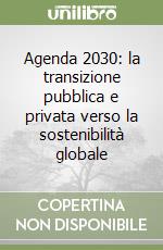 Agenda 2030: la transizione pubblica e privata verso la sostenibilità globale