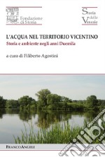 L'acqua nel territorio vicentino. Storia e ambiente negli anni Duemila