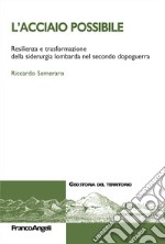 L'acciaio possibile. Resilienza e trasformazione della siderurgia lombarda nel secondo dopoguerra