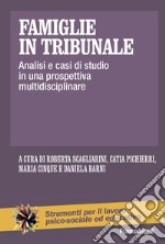 Famiglie in tribunale. Analisi e casi di studio in una prospettiva multidisciplinare libro