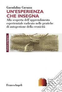 Un'esperienza che insegna. Alla scoperta dell'apprendimento esperienziale radicato nelle pratiche di autogestione della cronicità libro