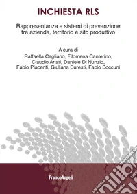 Inchiesta RLS. Rappresentanza e sistemi di prevenzione tra azienda, territorio e sito produttivo