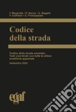 Codice della strada libro