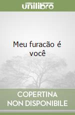 Meu furacão é você libro