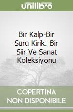 Bir Kalp-Bir Sürü Kirik. Bir Siir Ve Sanat Koleksiyonu libro