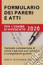 Formulario dei pareri e atti per l'esame di avvocato 2020. Formule commentate di civile e penale con schemi e svolgimenti guidati