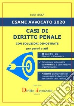 Esame avvocato 2020. Casi di diritto penale. Con soluzioni dimostrate per pareri e atti libro