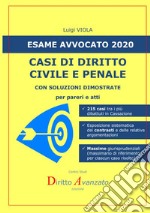 Esame avvocato 2020. Casi di diritto civile e penale. Con soluzioni dimostrate libro