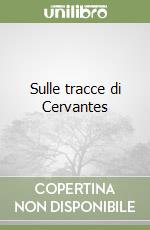 Sulle tracce di Cervantes libro