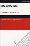 Lettere 1893-1919 libro