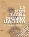 La montagna di Carlo Mollino. Architetture e progetti nelle Alpi libro