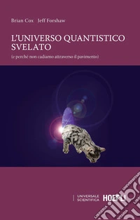 L'universo quantistico svelato (e perché non cadiamo attraverso il pavimento)