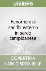 Fenomeni di sandhi esterno in sardo campidanese