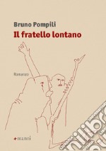 Il fratello lontano libro