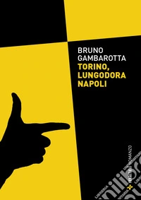 Torino, lungodora Napoli