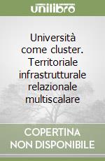 Università come cluster. Territoriale infrastrutturale relazionale multiscalare libro