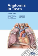 Anatomia in tasca