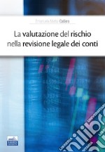 La valutazione del rischio nella revisione legale dei conti