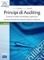 Principi di Auditing. Concetti, modelli, metodologie, applicazioni. Vol. 2