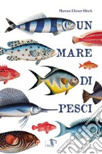 Un mare di pesci. Ediz. a colori