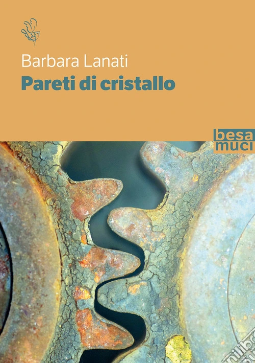 Pareti di cristallo