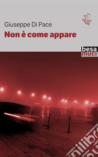 Non è come appare libro