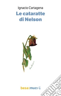 Le cataratte di Nelson libro