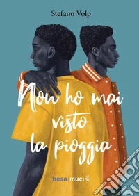 Non ho mai visto la pioggia libro