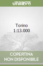 Torino 1:13.000 libro