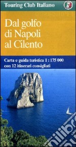 Dal golfo di Napoli al Cilento 1:175.000 libro