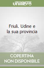 Friuli. Udine e la sua provincia libro