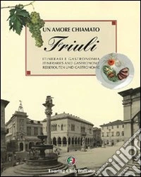 Un amore chiamato Friuli libro