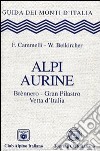 Alpi Aurine. Brennero, Gran Pilastro, Vetta d'Italia libro di Cammelli Fabio Beikircher Werner