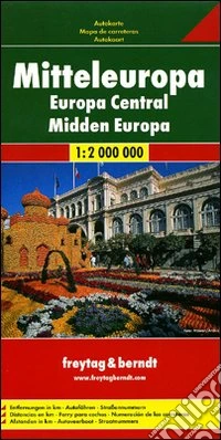 Europa centrale. Carta stradale scala 1:200.000 libro
