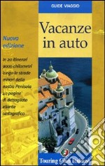 Vacanze in auto libro