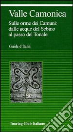 Valcamònica. Da Boario al Tonale tra parchi e incisioni rupestri libro