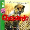 Ghepardo libro